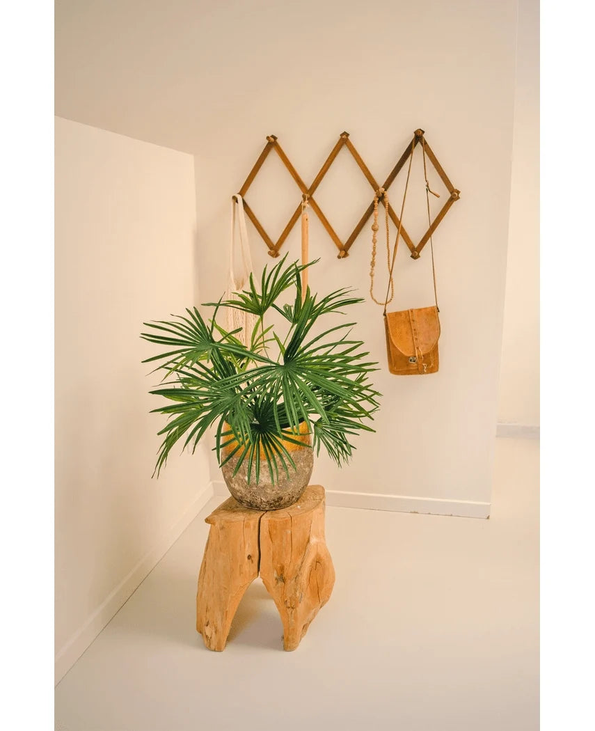 Artificial Plant Baby Palm Fan i potte UV 50 cm sidder på en trætaburet i et minimalistisk rum. Bag den viser et brunt harmonika-stil vægstativ brune og solbrune lædertasker mod en sprød hvid væg.