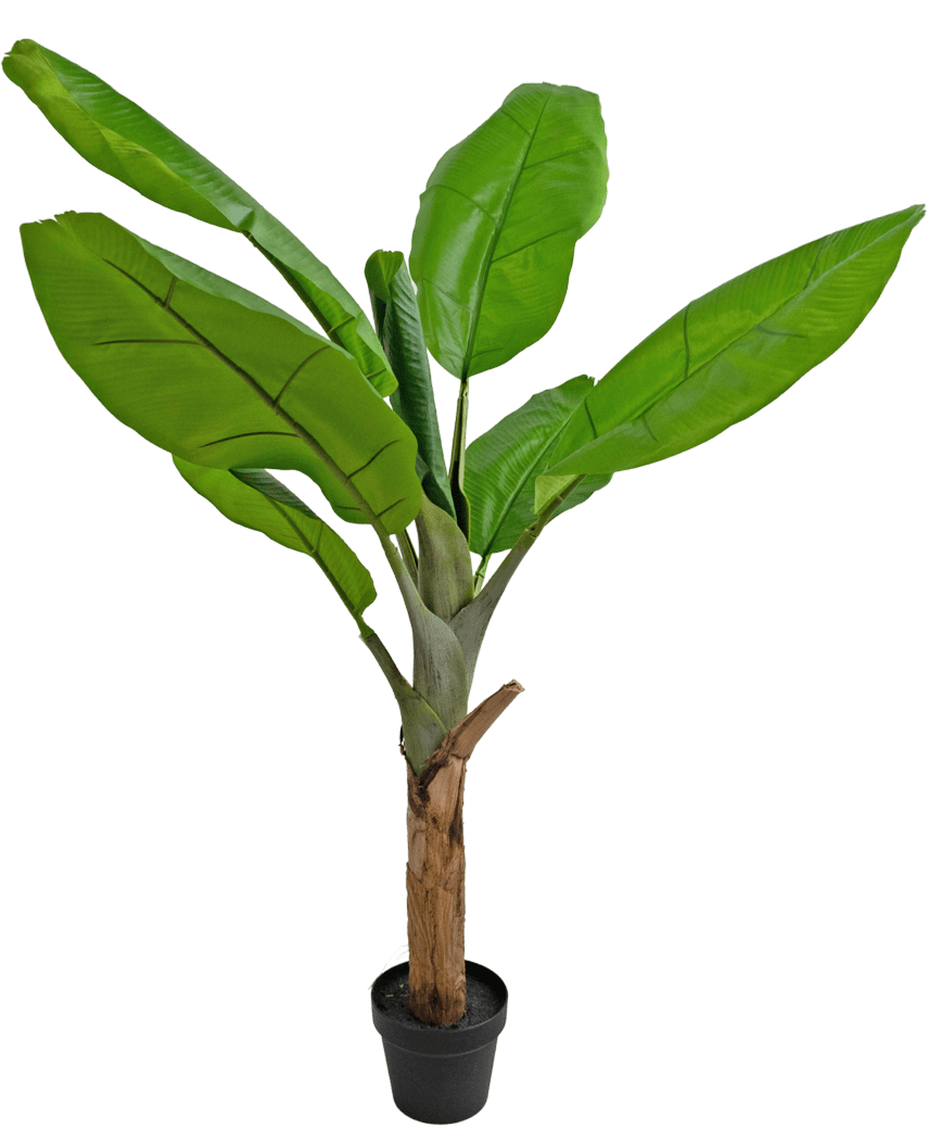 The Artificial Plant Banana Tree 120 cm er en pottebananplante med store, levende grønne blade og en tyk brun stilk, mod en hvid baggrund.