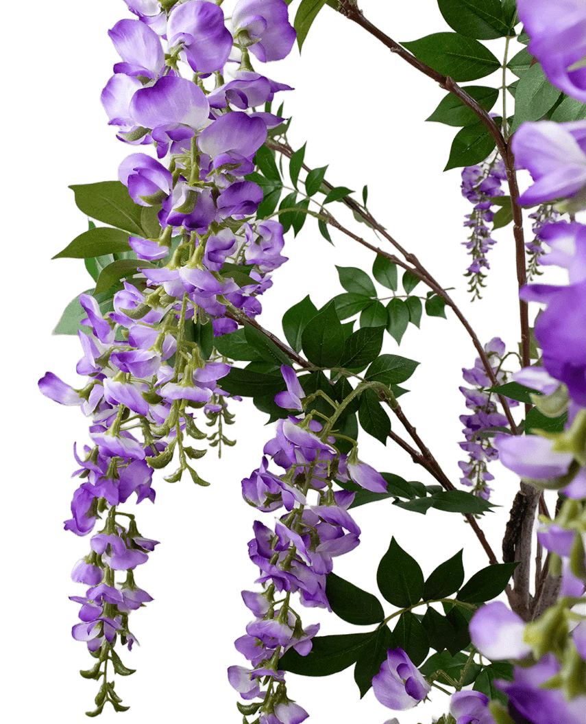 De Kunstplant Blauweregen 210 cm heeft trossen paarse blauweregenbloemen die aan dunne takken met groene bladeren hangen, tegen een effen witte achtergrond.