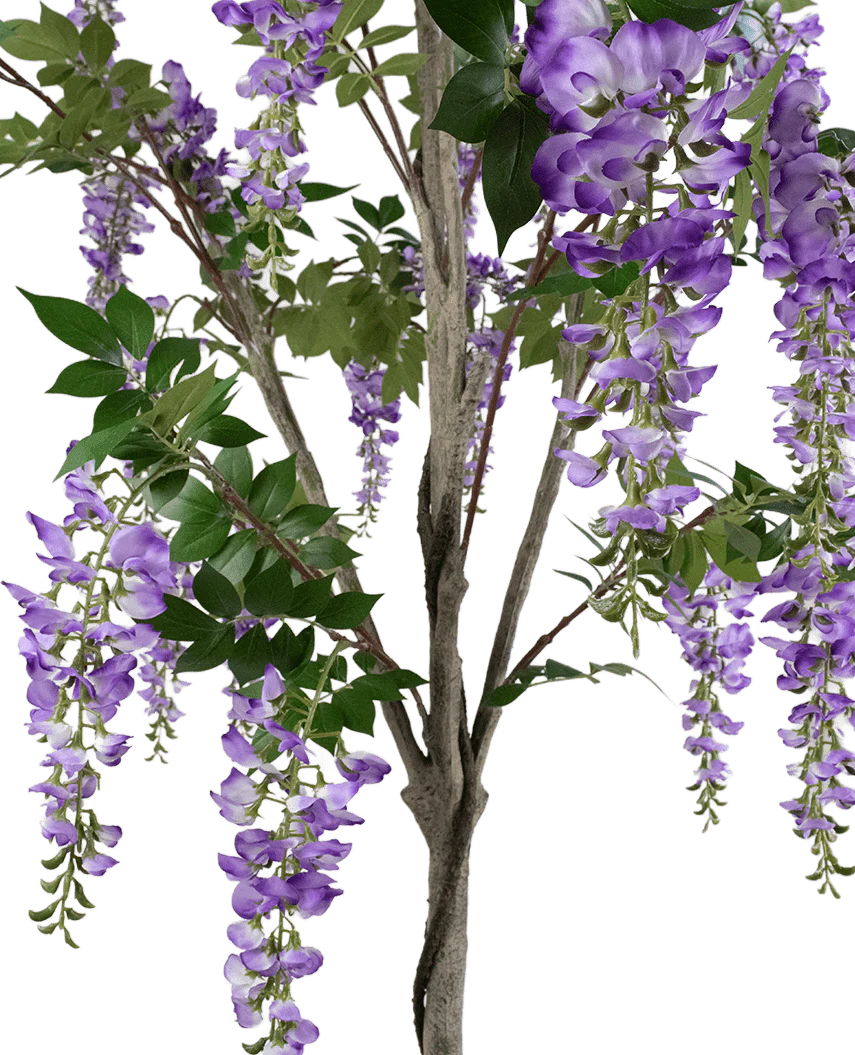 Een close-up van de Kunstplant Blauweregen 210 cm, met trossen hangende paarse bloemen en groene bladeren op houtachtige stengels, tegen een witte achtergrond.