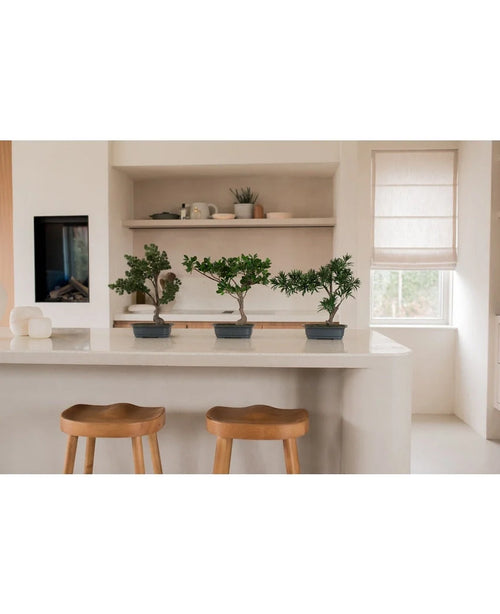 Tre kunstige plante-bonsaifikusser på 40 cm i rektangulære potter står på en hvid køkkenø med to træskamler. Hylder med tallerkener og planter, et vindue og blød belysning fuldender den minimalistiske indretning.