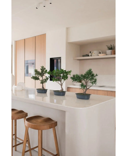 En Kunstig Plante Bonsai Ficus 40 cm står på en hvid køkkenø med to træskamler, omgivet af lyse træskabe, hvide bordplader og hylder med en minimal indretning.
