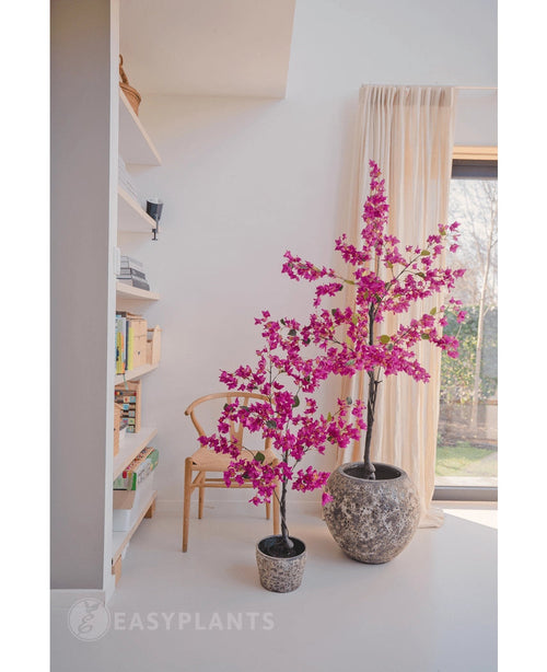 To kunstige bougainvillea 125 cm Lilla med levende lilla blomster i strukturerede krukker lyser et moderne rum op, ved siden af ​​en træstol, bogreol og et stort vindue med beige gardiner.
