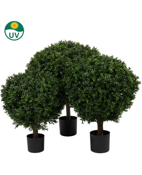 Artificial Boxwood on Stem Roman Style UV 85cm har tre kunstige buksbomtræer i sorte potter med tæt, rundt grønt løv, mod en hvid baggrund med et UV-beskyttelsessymbol i øverste venstre hjørne.