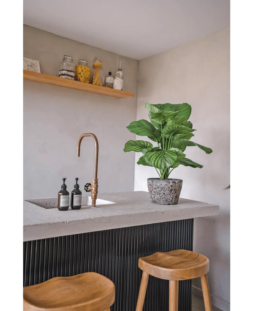 Et moderne køkkenhjørne med betonbordplade, guldhane, kunstig Calathea UV 72 cm plante, to træskamler, sæbedispensere og en træhylde med potter og beholdere mod en lys væg.