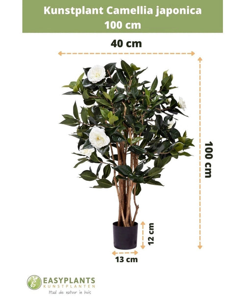 Kunstig plante Camellia japonica 100 cm høj og 40 cm bred, leveres i sort potte på 13x12 cm. Den japanske rose har grønne blade og hvide kunstige blomster, afbildet med dimensioner.