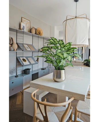 Moderne eetkamer met een witte tafel, houten stoelen en een Kunstplant Dieffenbachia 75 cm als middelpunt. Planken met boeken en decor staan langs de achterwand en boven de tafel hangt een grote lamp.