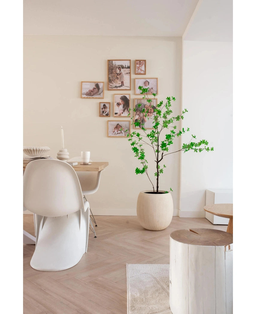 Een moderne, minimale eethoek met witte stoelen, een houten tafel en de Kunstplant Enkianthus 150 cm die groen toevoegt, aangevuld met een galeriewand van ingelijste foto's op een neutraal gekleurde achtergrond.