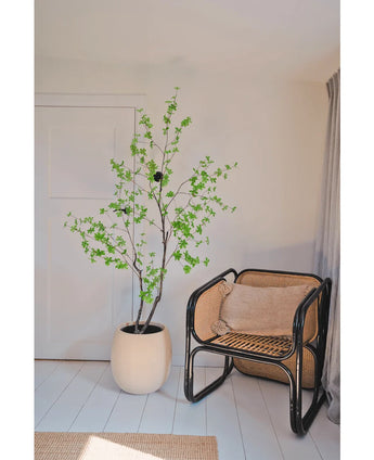 Den Artificial Enkianthus 180 cm plante med grønne blade står ved siden af ​​en sort rattanstol med en brun pude i et lyst, minimalistisk rum med hvide vægge og gulv, blødt oplyst af lys, der kommer ind fra højre.