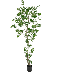 Kunstig plante Ficus 210 cm