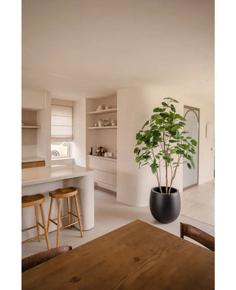 Et moderne køkken med lyse vægge, træskamler på bordet, åbne hylder med service, en kunstig ficus plante 210 cm, der tilfører grønt og et spisebord i træ med stole. Rummet er lyst med naturligt lys.