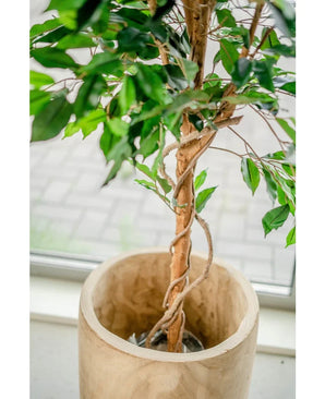 De Kunstplant Ficus Groen 150 cm heeft een gevlochten stam met weelderige groene bladeren in een ronde licht houten pot, die binnen bij een raam wordt geplaatst met een betegeld oppervlak dat naar buiten zichtbaar is.