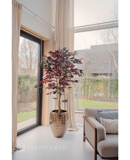 En Kunstig Ficus grøn/rød plante 180 cm brandhæmmende med mørkegrønne og røde blade står nær et stort vindue med cremefarvede gardiner i en lys, moderne stue ved siden af ​​en beige sofa med mønstrede hynder. Træer og et hus er synlige udenfor.