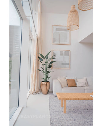 Een lichte, moderne woonkamer met grote ramen, een witte bank, neutrale kussens, een geweven salontafel, twee abstracte muurkunstwerken, een Kunstplant Heliconia 180 cm in een pot met structuur en geweven hanglampen die aan het plafond hangen.