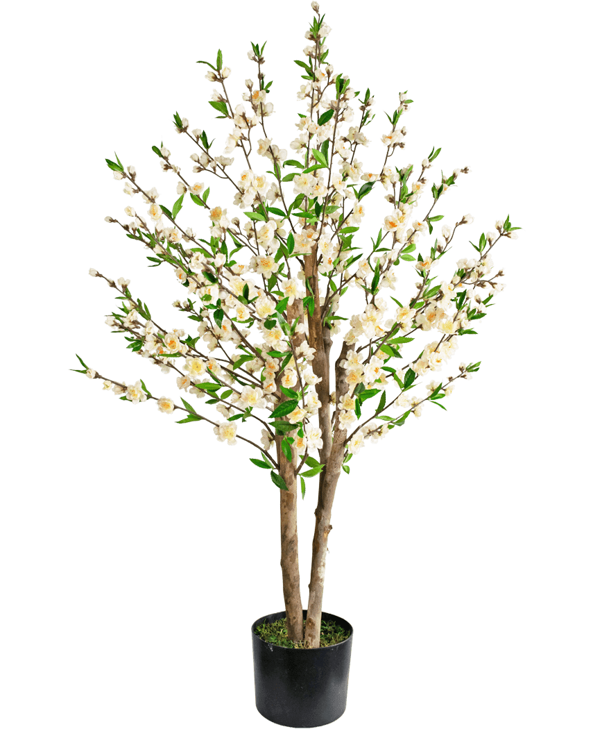 The Artificial Cherry Blossom Plant 120 cm creme er et kunstigt kirsebærblomsttræ i en potte med flere brune stammer, grønne blade og klaser af små hvide blomster mod en almindelig hvid baggrund.