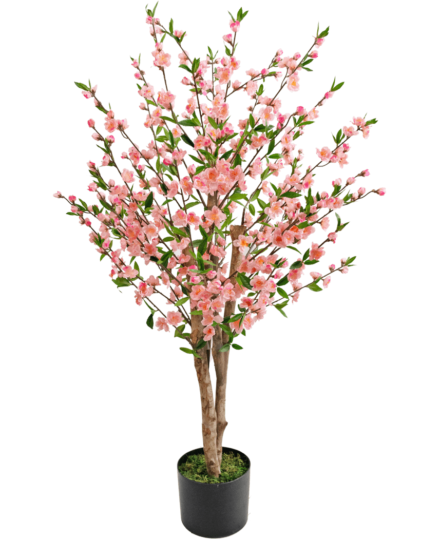 Artificial Cherry Blossom Plant 120 cm pink har flere brune stængler med lyserøde blomster og grønne blade, i en sort potte med grønt mos i bunden, mod en hvid baggrund.