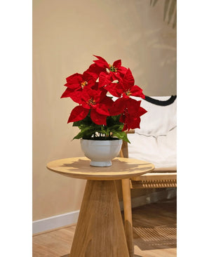 Den kunstige plante julestjerne 44 cm rød, med livlige røde blomster i en hvid krukke, står på et rundt sidebord i træ ved siden af ​​en beige accentstol i et hyggeligt, blødt oplyst rum.