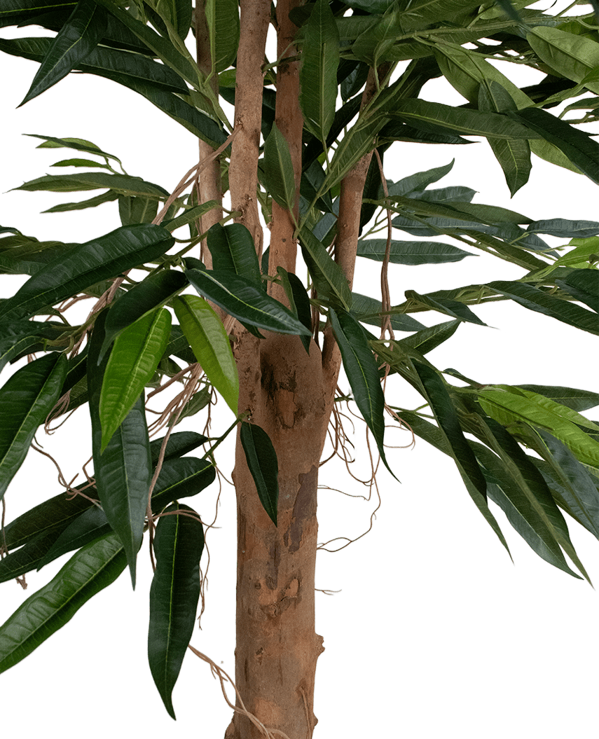 Een close-up van de Kunstplant Longfolia 180 cm toont de boomstam met lange, smalle groene bladeren en dunne, kronkelende lianen tegen een witte achtergrond.