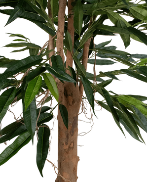 Een close-up van de Kunstplant Longfolia 180 cm toont de boomstam met lange, smalle groene bladeren en dunne, kronkelende lianen tegen een witte achtergrond.