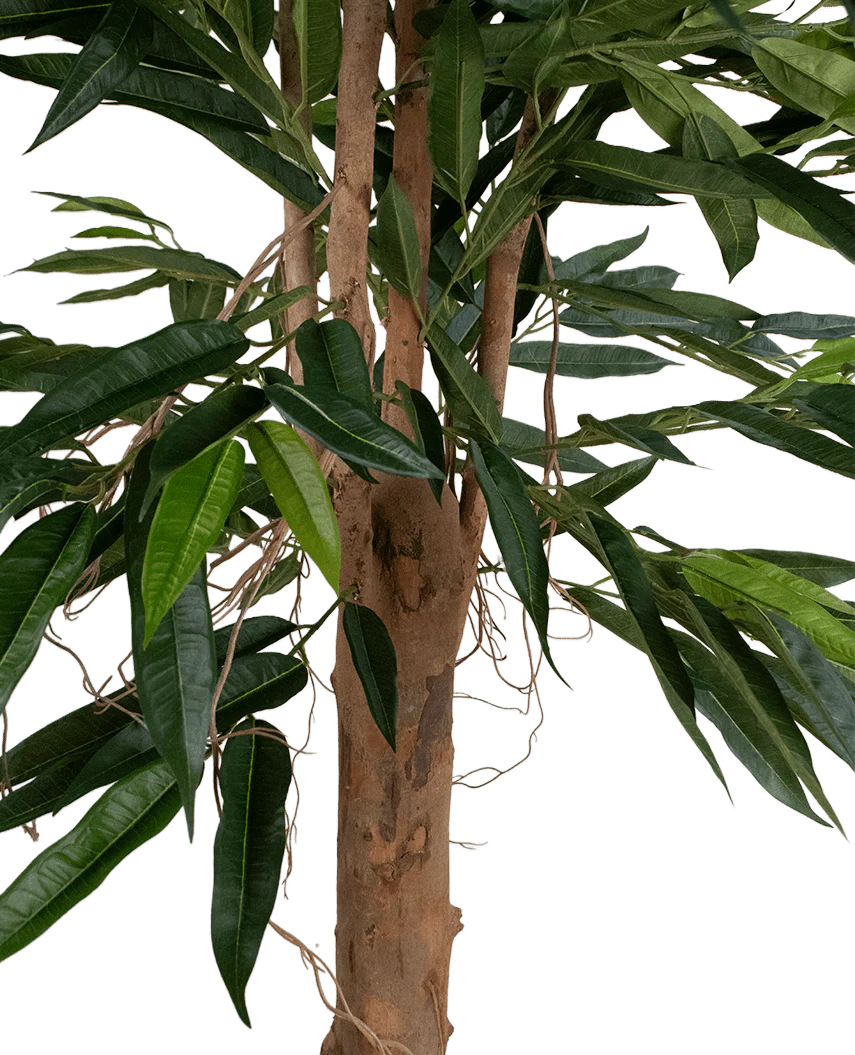 Een close-up van de Kunstplant Longfolia 180 cm toont de boomstam met lange, smalle groene bladeren en dunne, kronkelende lianen tegen een witte achtergrond.