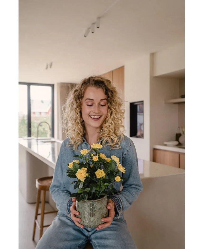 Een glimlachende vrouw met krullend blond haar, gekleed in spijkerstof, zit in een moderne keuken met de Kunstplant Mini Rose UV 35 cm geel op haar schoot.
