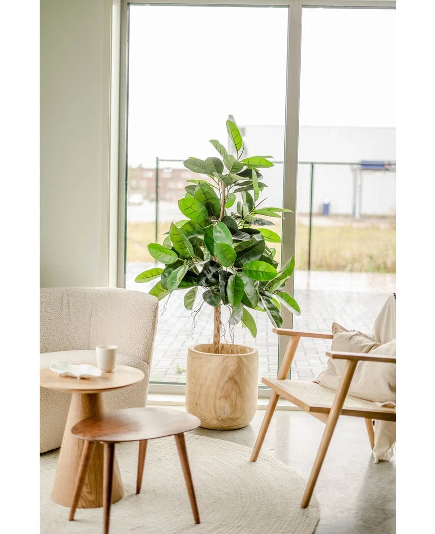 Lichte, moderne kamer met grote ramen, de Kunstplant Rubberplant 150 cm met donkergroene bladeren in een sierpot op een licht rond vloerkleed, een beige fauteuil, houten bijzettafel met kop en schotel en een houten stoel met kussen.