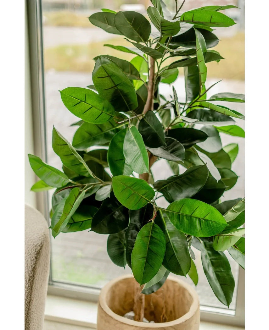 De Kunstplant Rubberplant 150 cm staat bij een raam. De grote glanzende donkergroene bladeren vangen het natuurlijke licht en geven elke ruimte een elegante uitstraling.