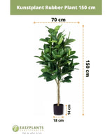 Kunstplant Rubberplant 150 cm met donkergroene bladeren in een stijlvolle zwarte pot. Hoogte: 150 cm, breedte: 70 cm, potdiameter: 18 cm, pothoogte: 14 cm-ideaal voor sierpotten.