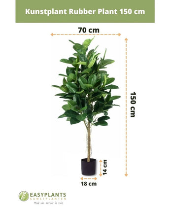 Kunstplant Rubberplant 150 cm met donkergroene bladeren in een stijlvolle zwarte pot. Hoogte: 150 cm, breedte: 70 cm, potdiameter: 18 cm, pothoogte: 14 cm-ideaal voor sierpotten.