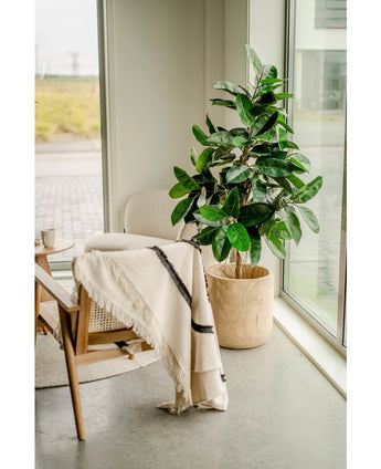 Een houten stoel met een crèmekleurig kleed staat naast de Kunstplant Rubberplant 150 cm in stijlvolle potten bij hoge ramen, waar natuurlijk licht en een lichtgrijze vloer de heldere, serene sfeer van de kamer versterken.