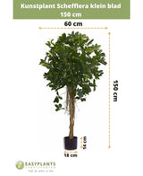 De Kunstplant Schefflera klein blad 150 cm heeft kleine blaadjes in een decoratieve pot, is 150 cm hoog, 60 cm breed, met een pothoogte van 14 cm en een diameter van 18 cm. Metingen worden aangegeven met pijlen.