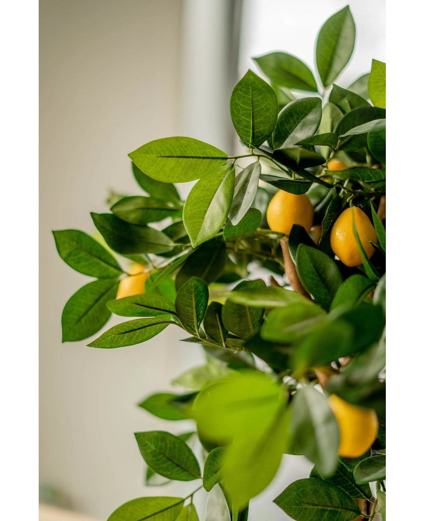 Een close-up van de Kunstplant citroenboom 75 cm, met weelderige groene bladeren en levendige gele citroenen, binnen geplaatst in elegante sierpotten met zacht natuurlijk licht op de achtergrond.