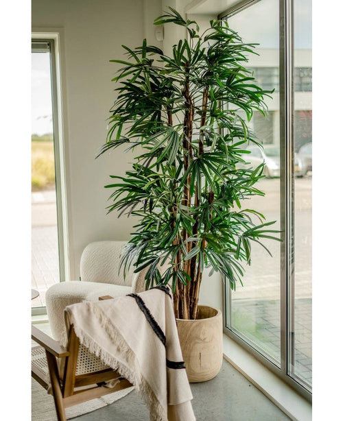Den kunstige Lady Palm 210 cm, med sine lange, smalle grønne blade, er placeret nær store vinduer i et lyst rum. En hvid lænestol og en træstol draperet med et let tæppe i nærheden skaber en indbydende atmosfære.