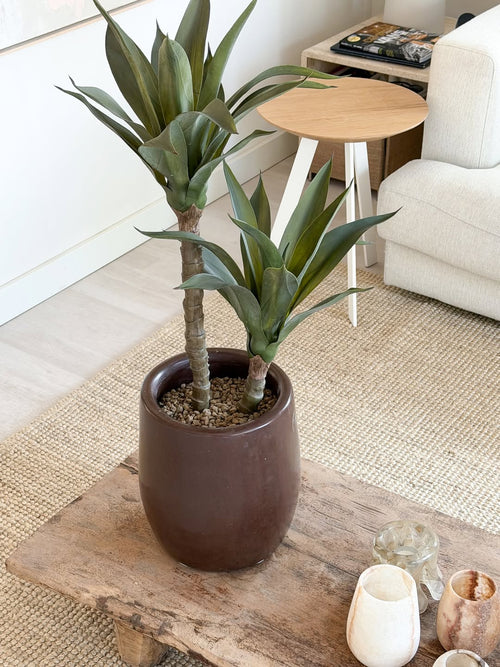 En kunstig agaveplante på 76 cm, med to lange stængler og grønne, spidse blade, står på et sofabord i træ i en hyggelig stue med en cremefarvet sofa, et rundt sidebord og en neutral indretning.