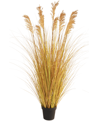 Sorghum kunstgræsløg 150 cm