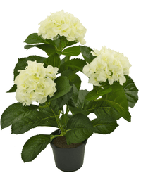 Syntetisk hortensia hvid 35 cm
