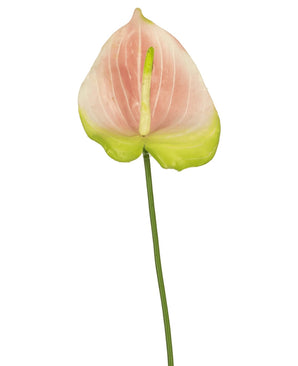 En enkelt kunstig Anthurium-blomst på 68 cm i pink, med en sart pink og grøn blomst på en lang grøn stilk, skiller sig smukt ud mod en hvid baggrund. Denne elegante kunstige blomst er ideel til alle, der leder efter lyserøde kunstige blomster eller højkvalitets silkeblomster for at give deres interiør en ekstra dimension.