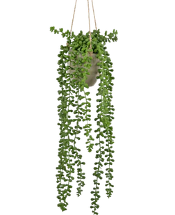 Kunstige Hængeplanter