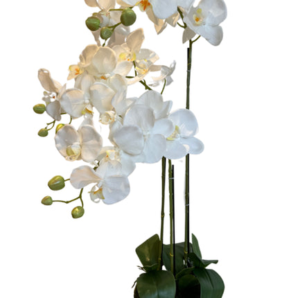 Kunstig orkidé 85cm i mose