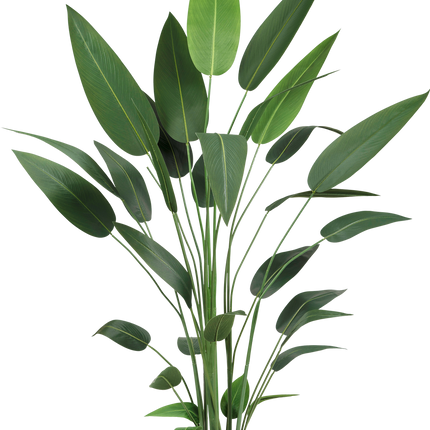 Kunstig plante Heliconia 210 cm