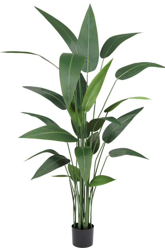 Kunstig plante Heliconia 170 cm