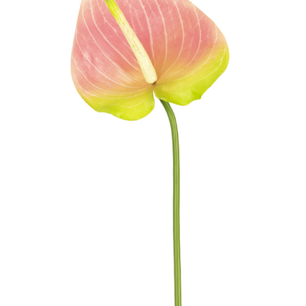 Kunstig blomst Anthurium 65 cm grøn/pink