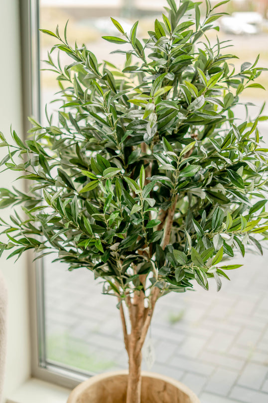 Kunstigt oliventræ 150 cm