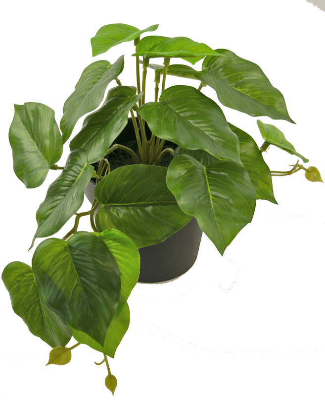 Kunstig plante Scindapsus 25 cm