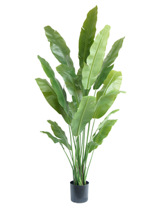 Kunstig plante Strelitzia Nicolai Deluxe 200 cm