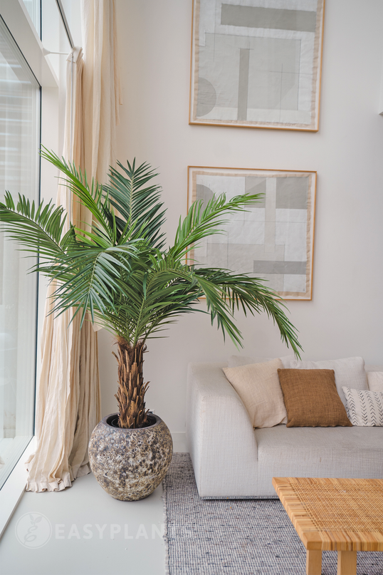 Kunstig palme Phoenix Canary 160 cm