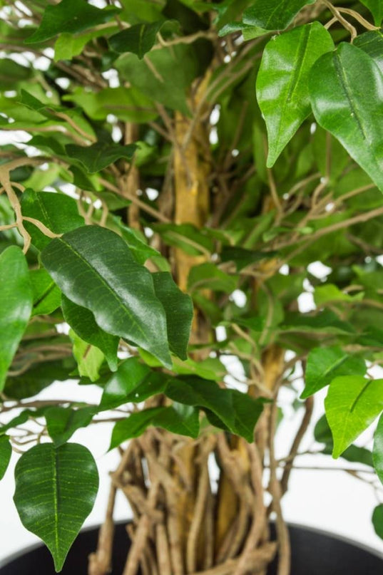 Kunstig plante Ficus Liana 90 cm