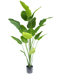 Kunstig plante Strelitzia 210 cm ægte touch