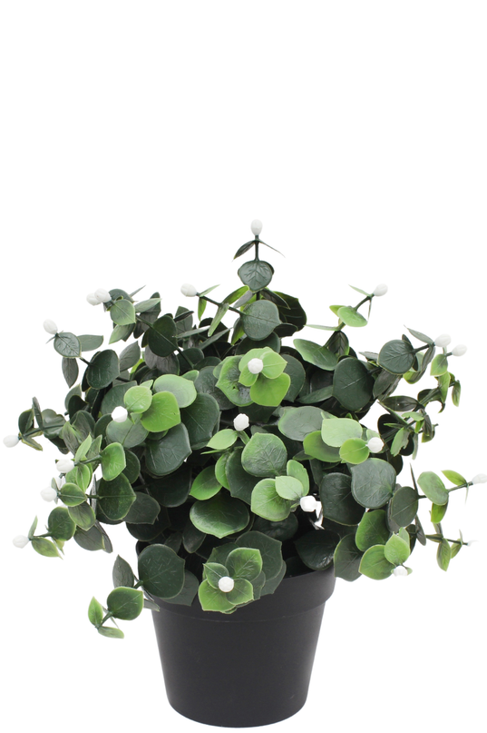 Kunstig plante Eukalyptus hvid i potte 22 cm UV