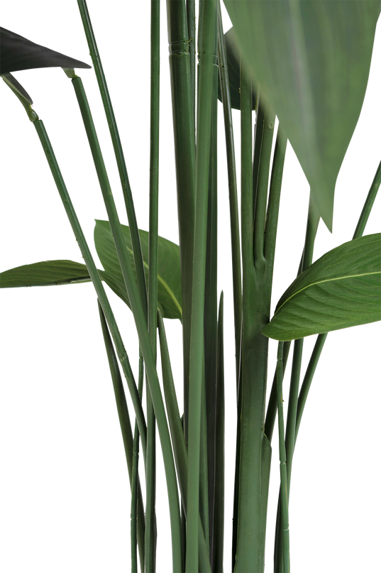 Kunstig plante Heliconia 170 cm